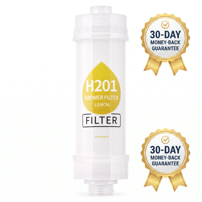 H2O1 VALUE PACK x4 FlLTERS