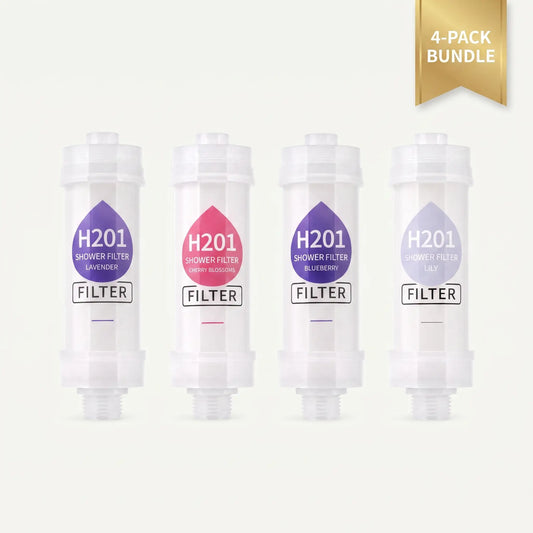 H2O1 VALUE PACK x4 FlLTERS